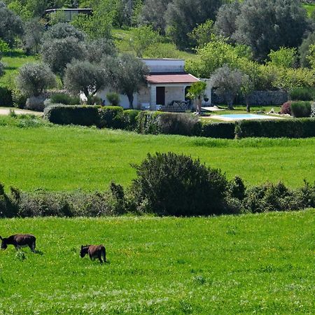 Terra Sessana Ville E Trullo Con Piscina Privata Ostuni Luaran gambar