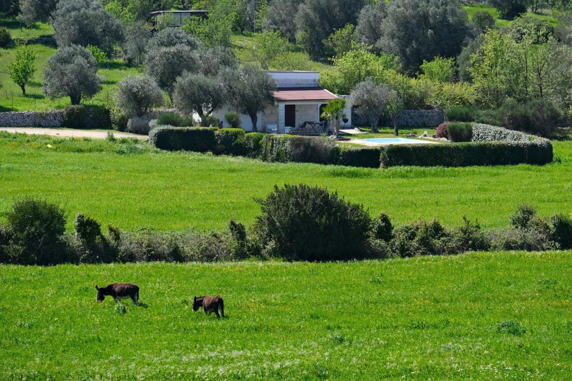 Terra Sessana Ville E Trullo Con Piscina Privata Ostuni Luaran gambar